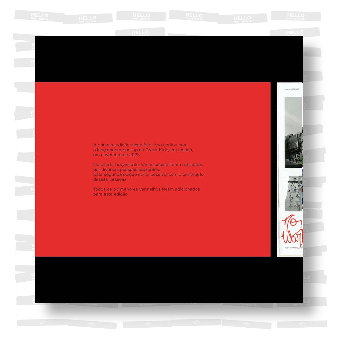 Ana Moraes - Lisboa e Reação: pixação não é tag