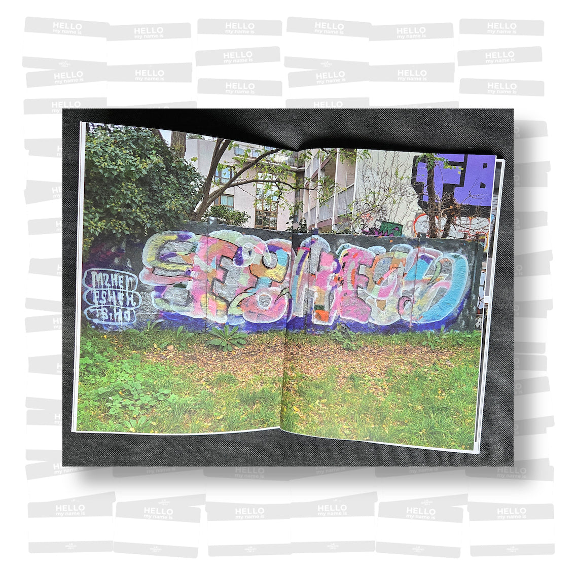 graffs.de.paris - Dérives picturales