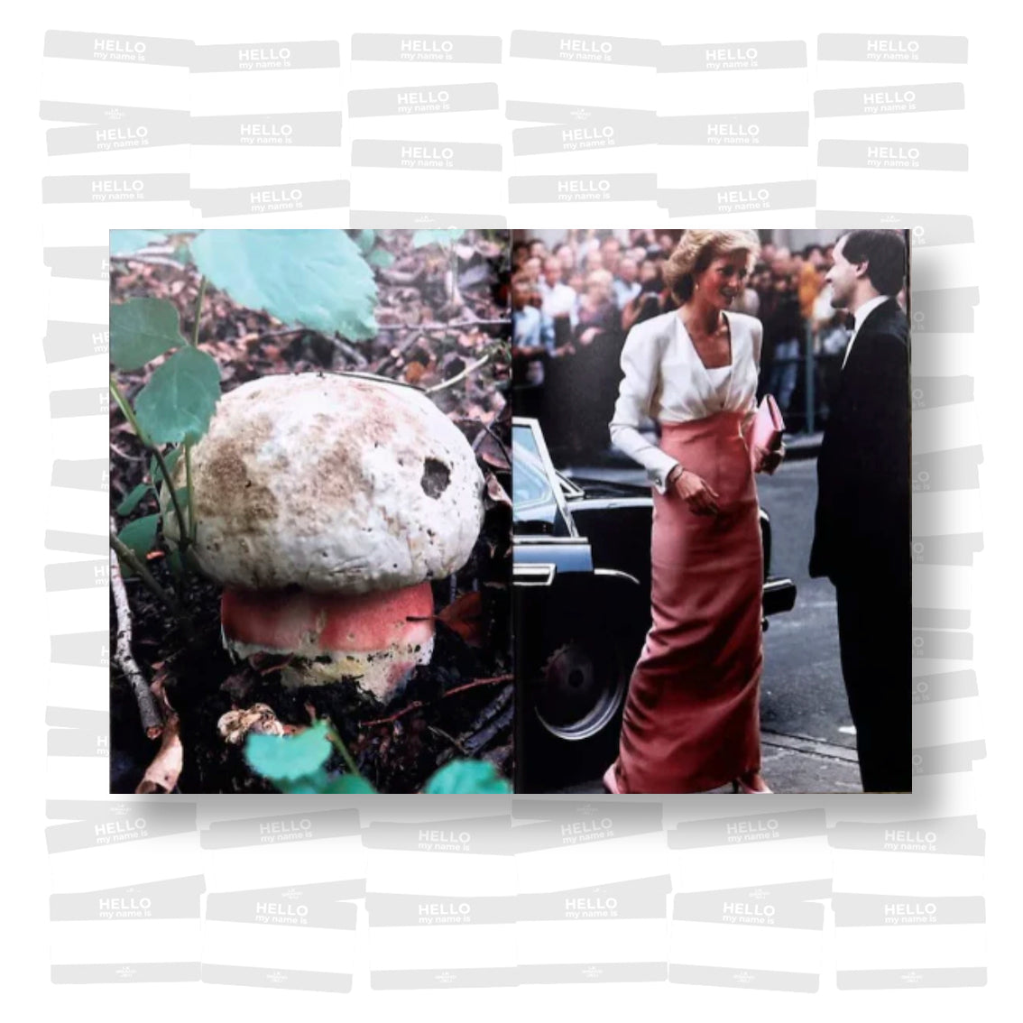 Lulu Williams - Princess Diana as Mushrooms Volume 2