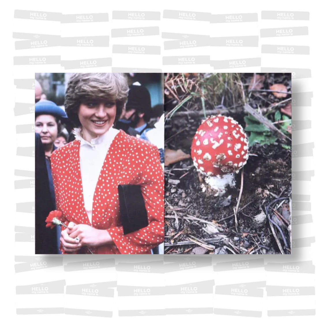 Lulu Williams - Princess Diana as Mushrooms