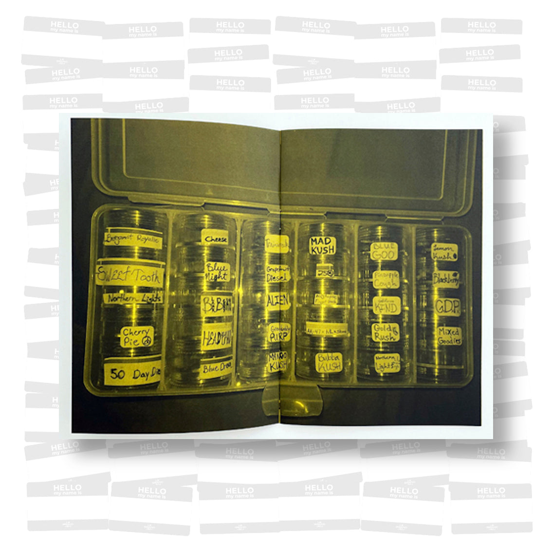 Madteo - All the World’s a Pillage