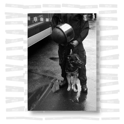 Marina - Untilted25’