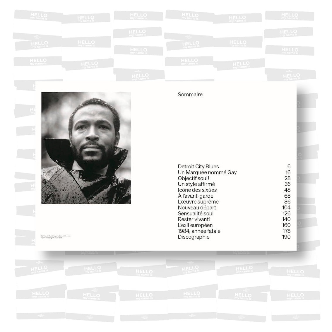 Marvin Gaye, le dandy de Motown