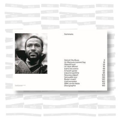 Marvin Gaye, le dandy de Motown