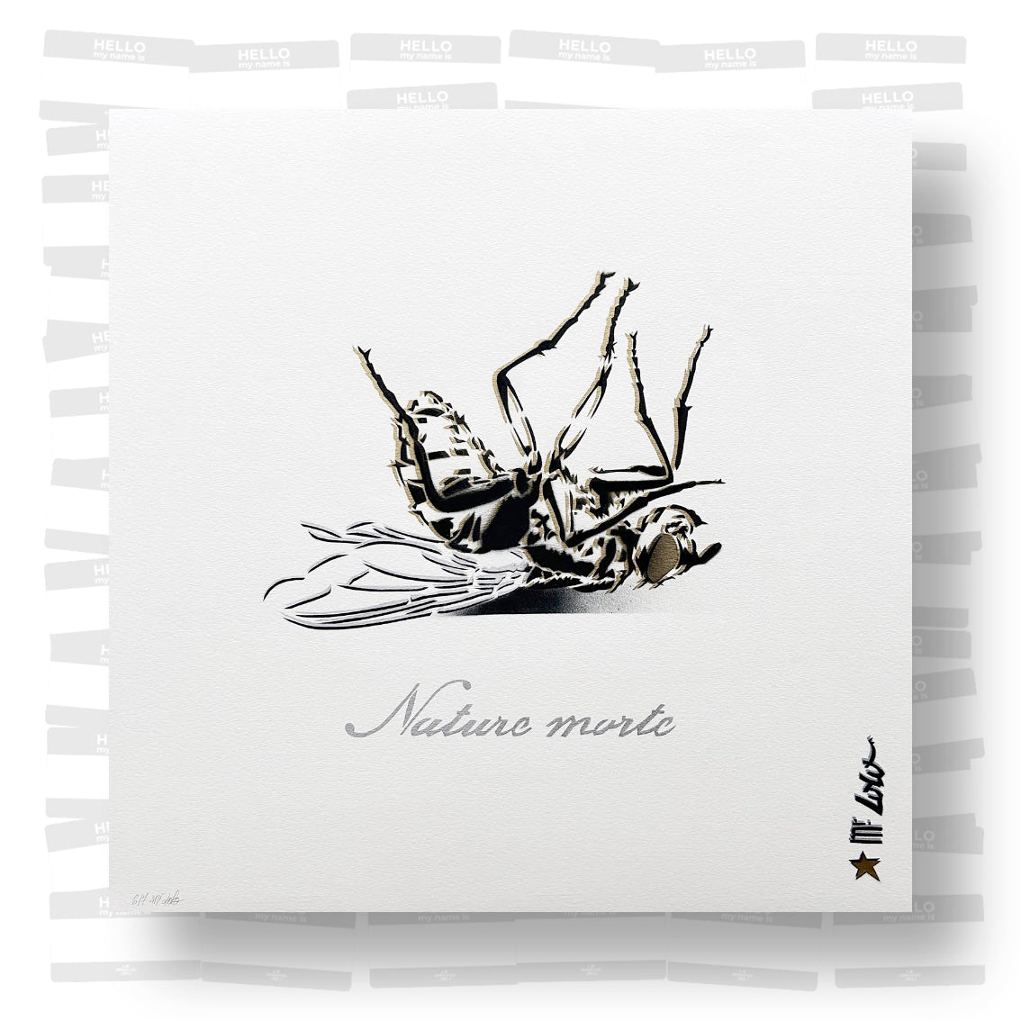 Mr. Lolo - Nature Morte