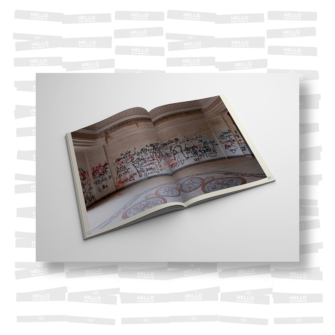 Pablo Allison - Iraq Walls