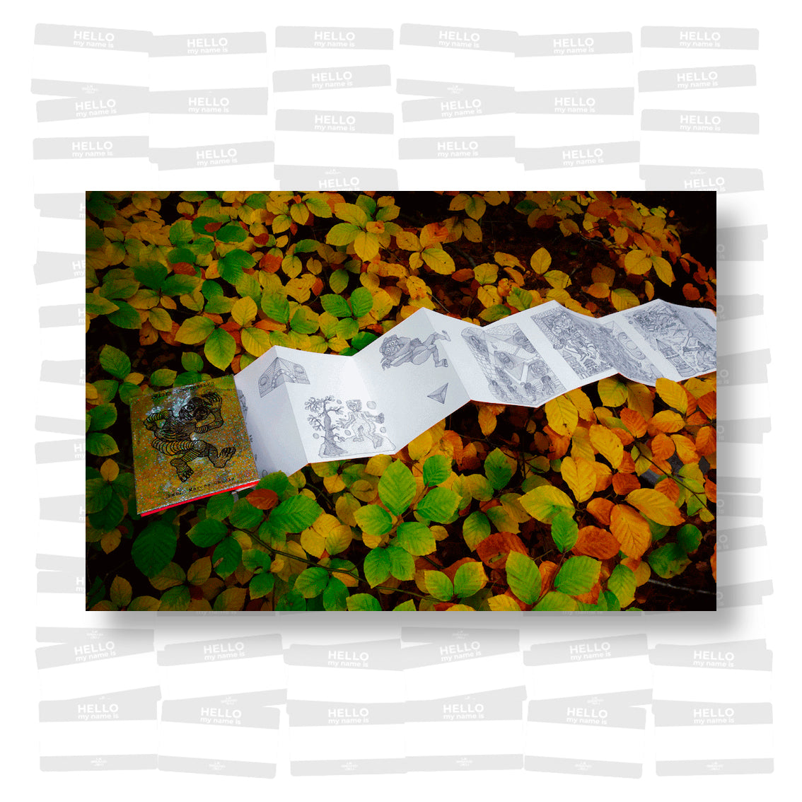 Pablo Marcos Garcia - Images Ponctuelles