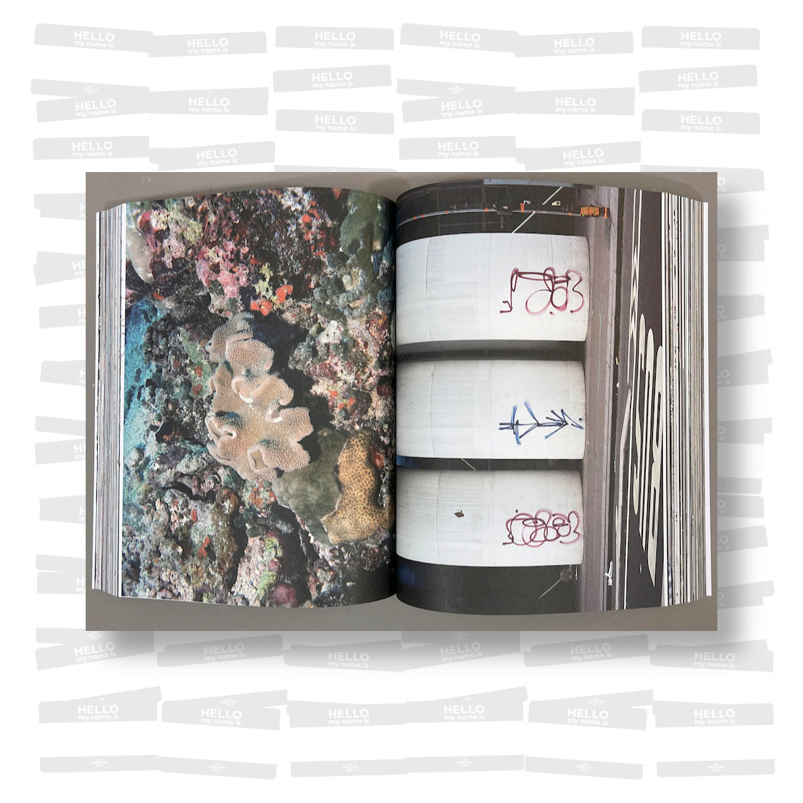 Pablo Tomek - Guten Tag