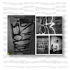 Paranoise #2