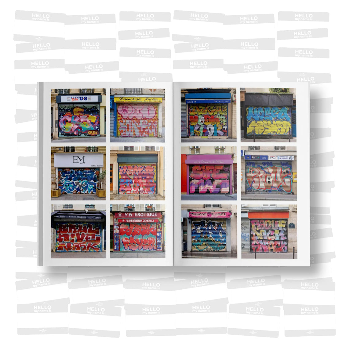 RIDEAUX DE FER #1 / SPÉCIAL DIMZA