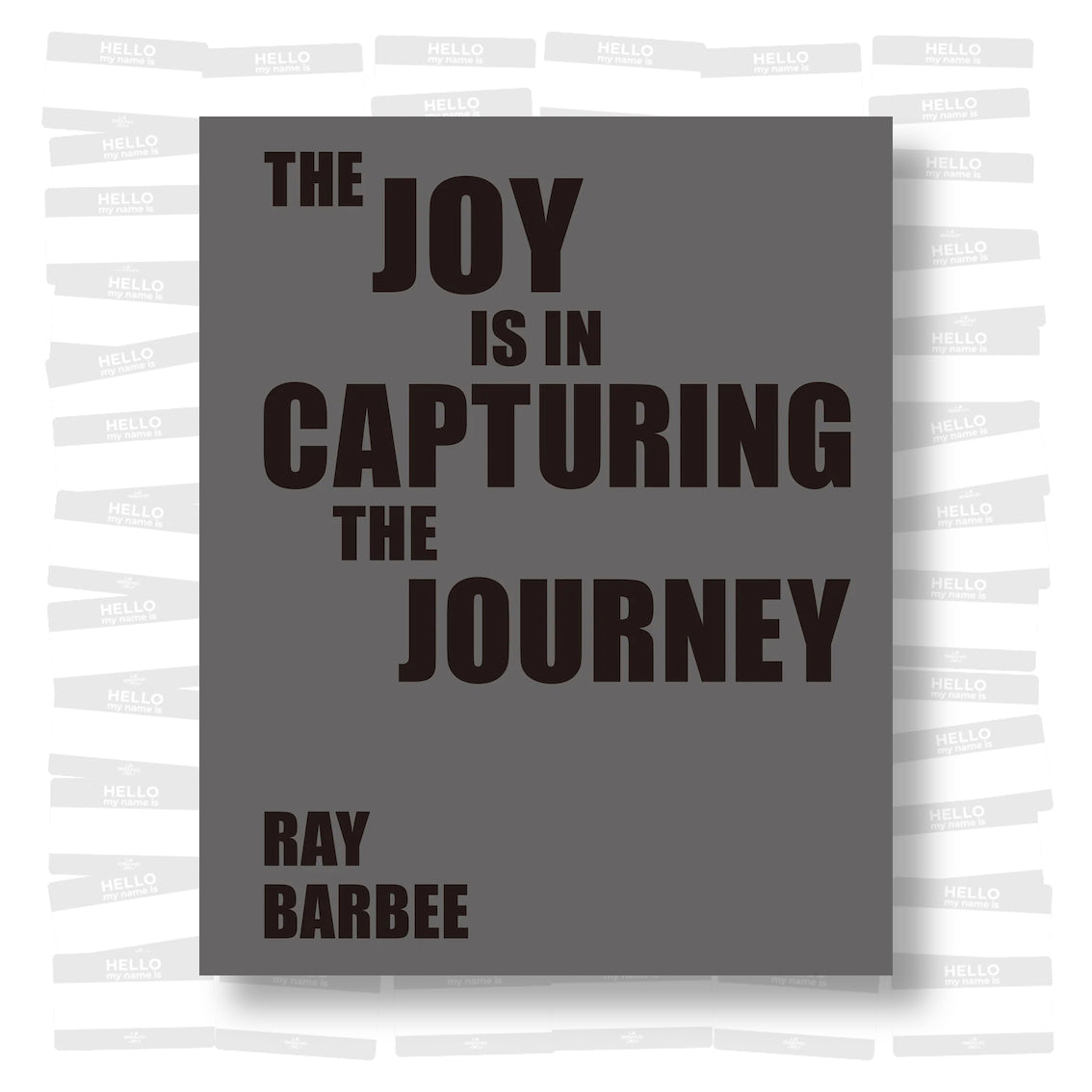 Ray Barbee - The joy is in capturing the journey