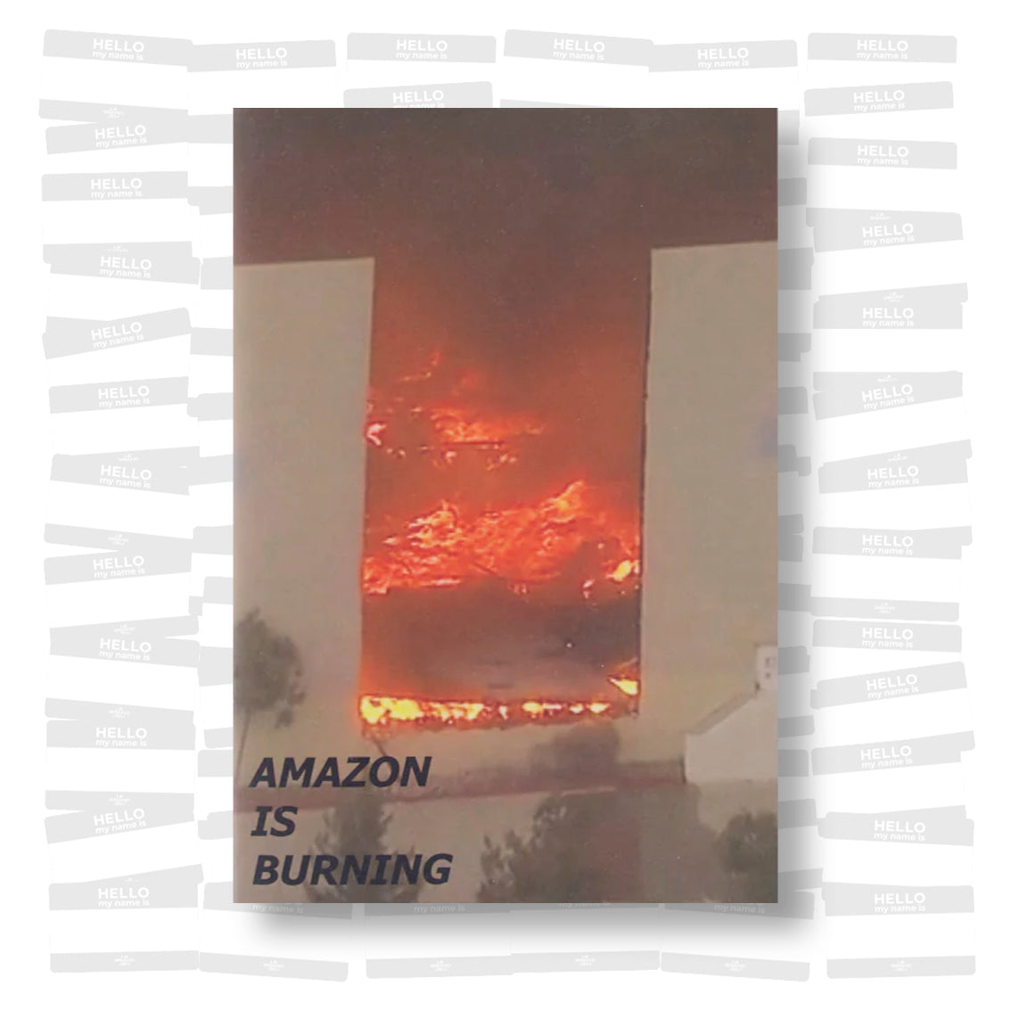 Sam Hutchinson - Amazon is Burning