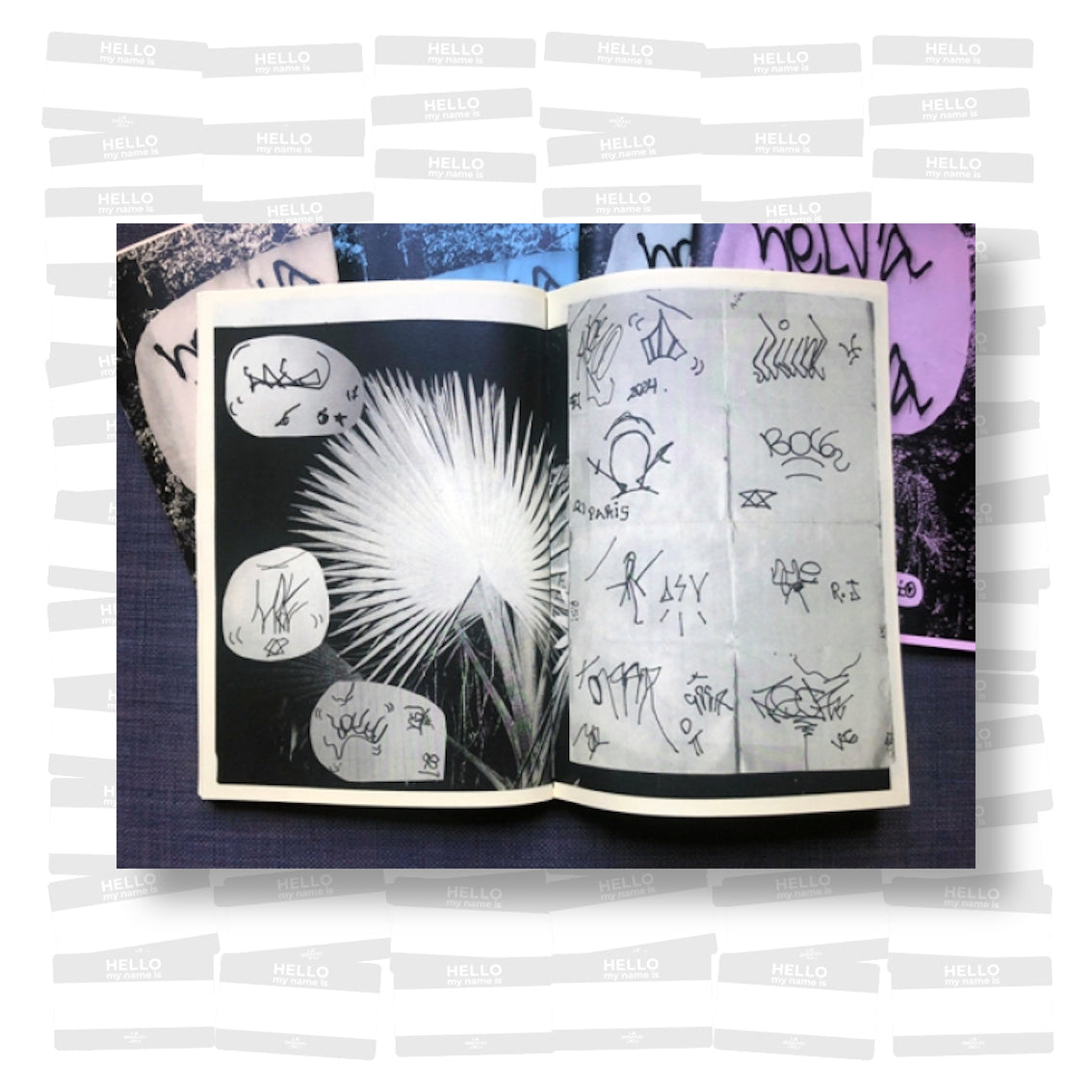 Selva de Pedra: Movimento Xarpi No Rio