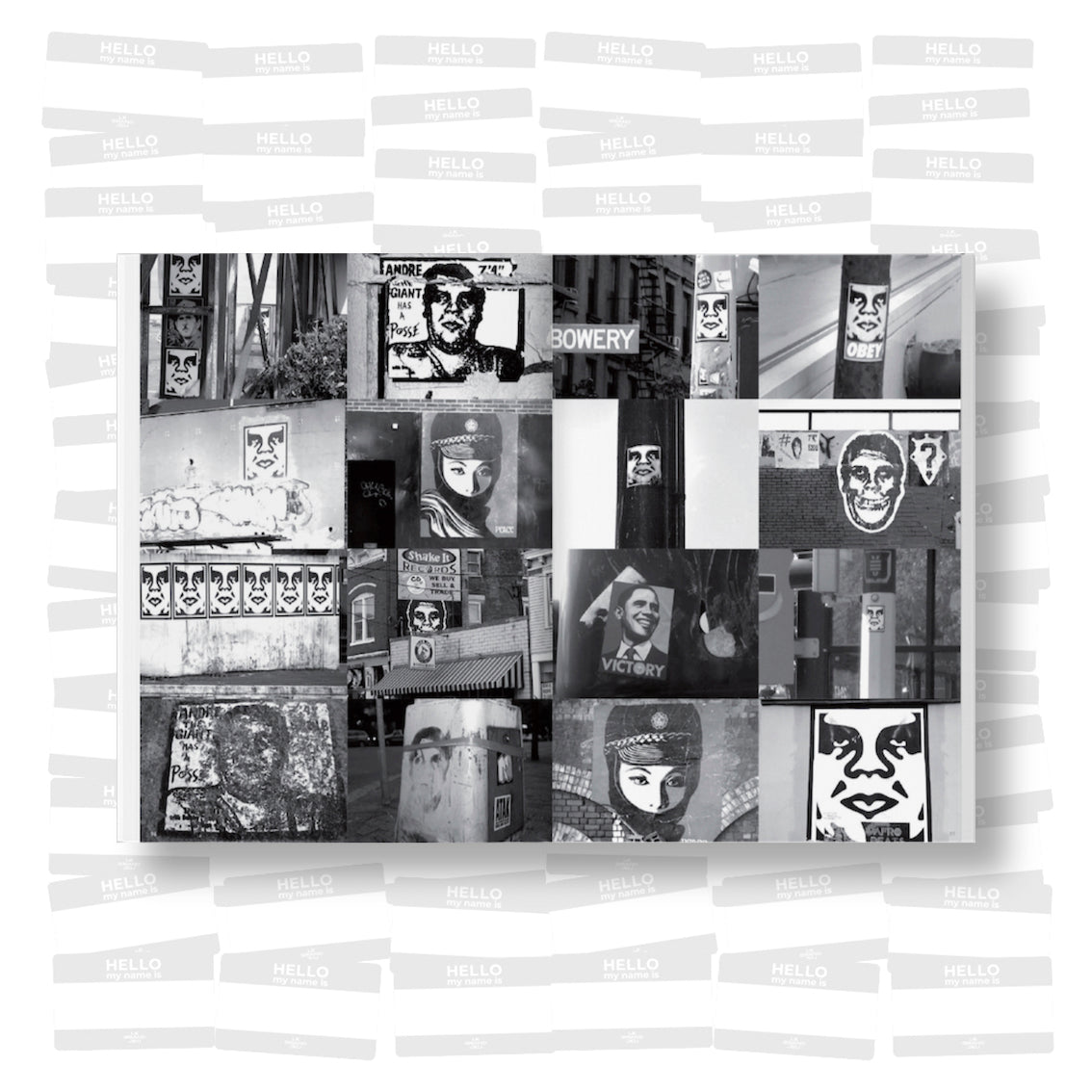 Shepard Fairey - Weathered 2023