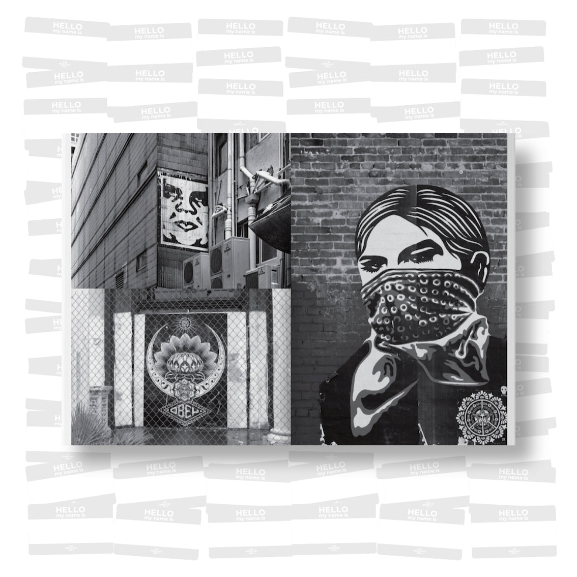 Shepard Fairey - Weathered 2023