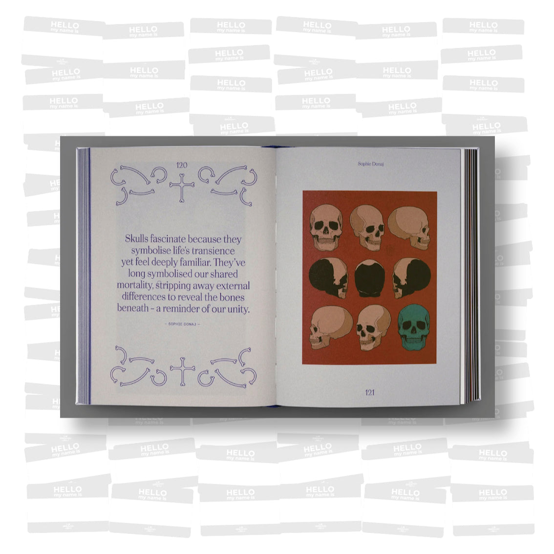 Skulls: Art in Bone