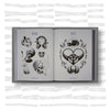 Skulls: Art in Bone