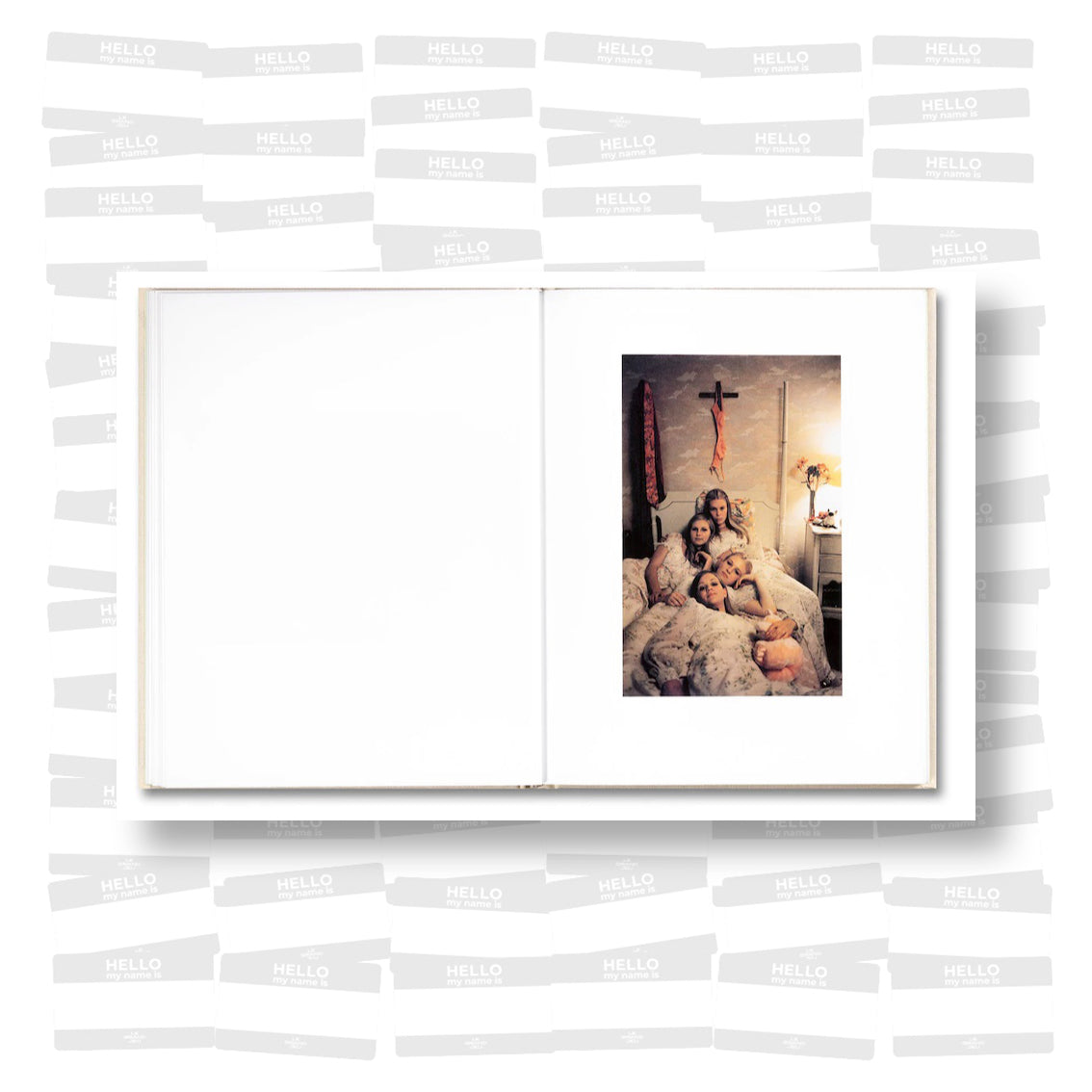 Sofia Coppola - The Virgin Suicides