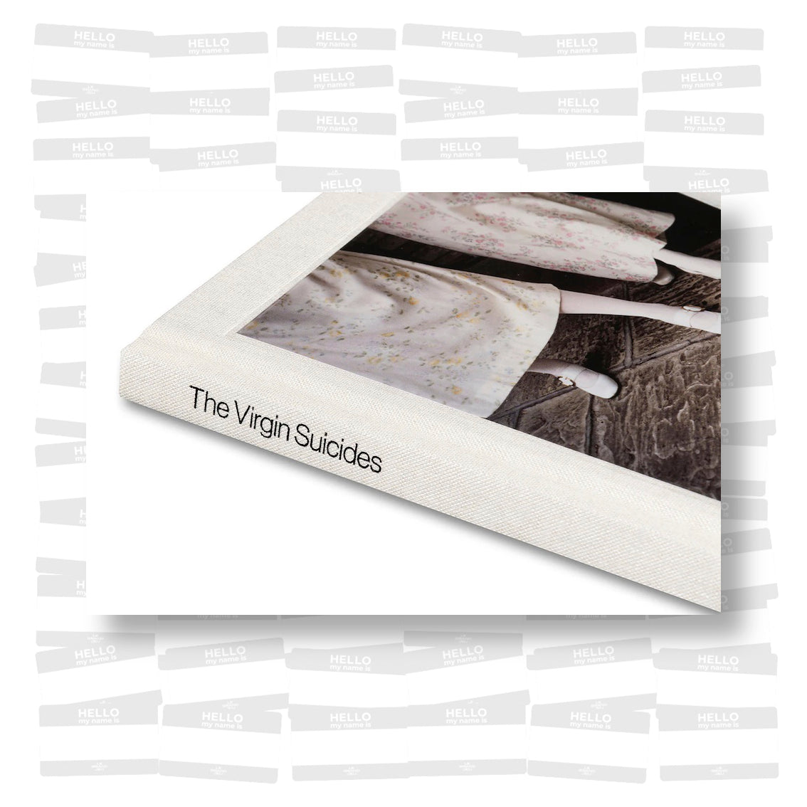 Sofia Coppola - The Virgin Suicides