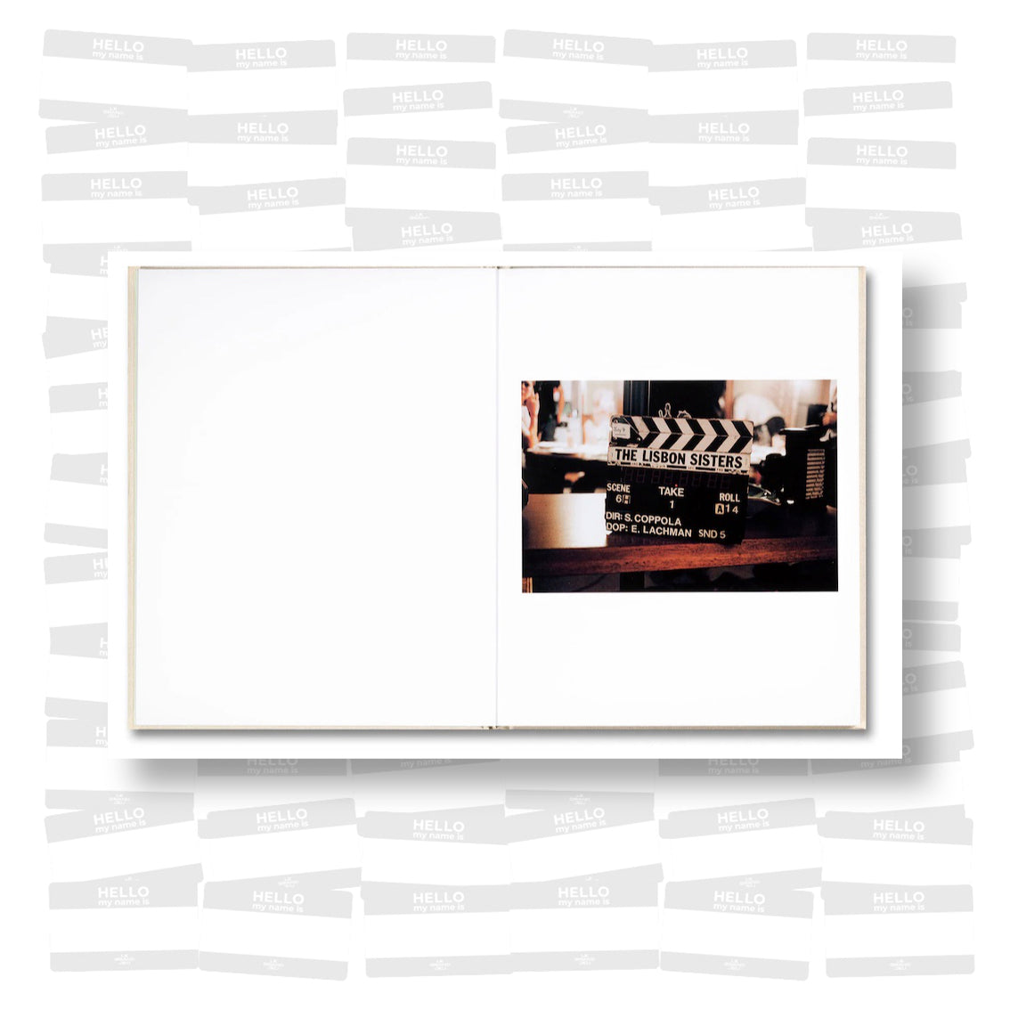 Sofia Coppola - The Virgin Suicides