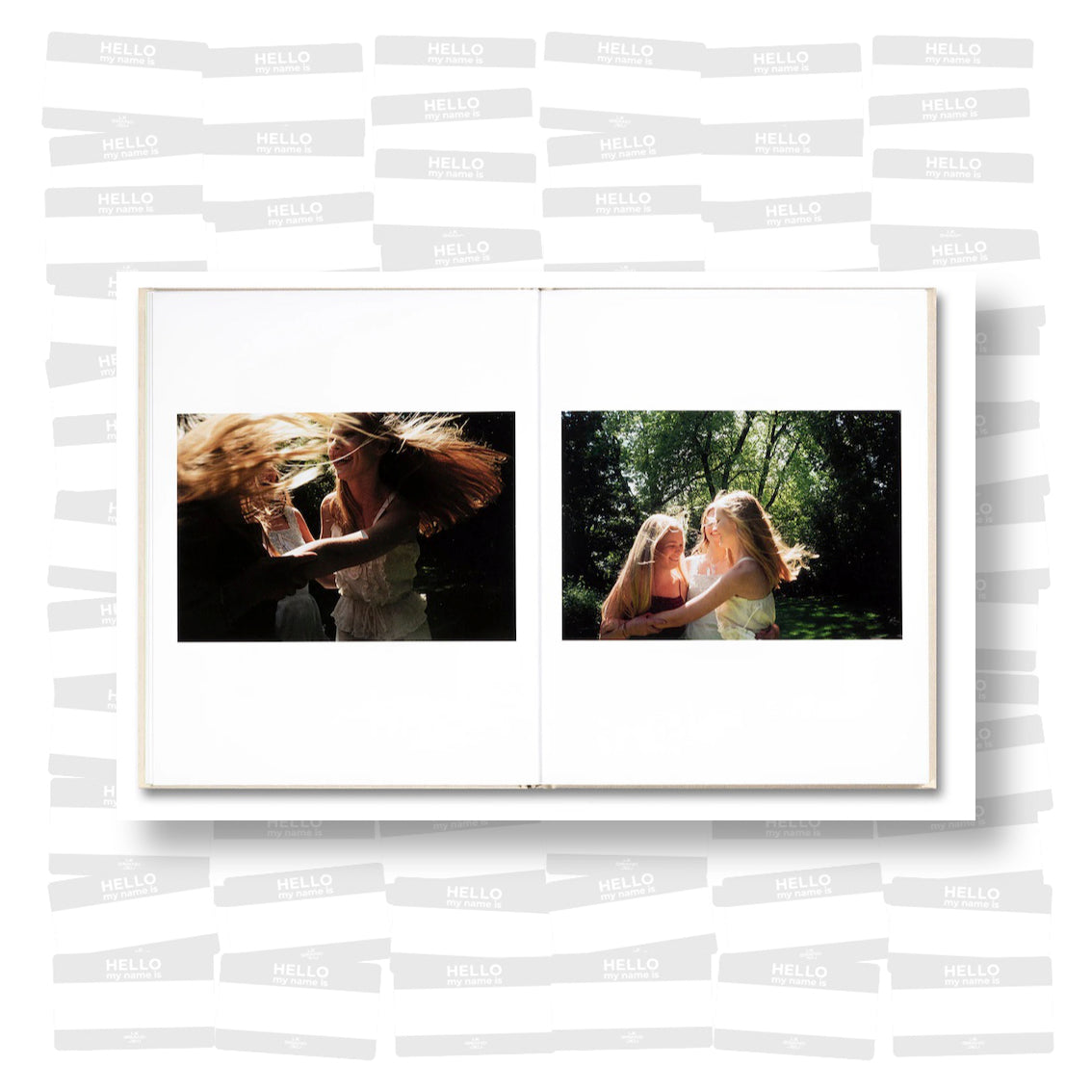 Sofia Coppola - The Virgin Suicides