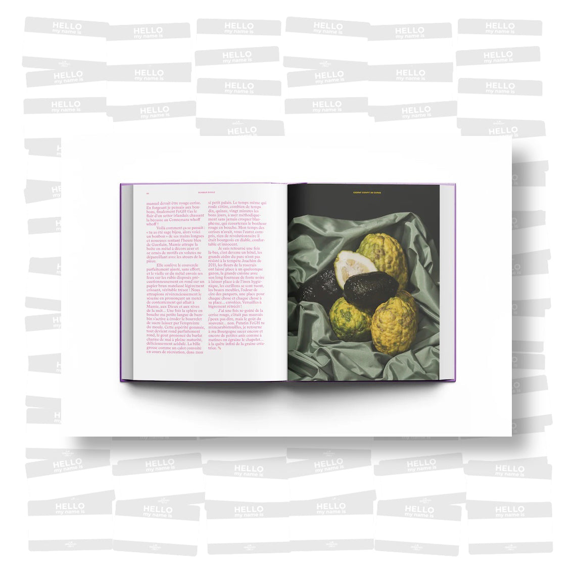 Suce moi : une Fabuleuse Histoire des Bonbons de France