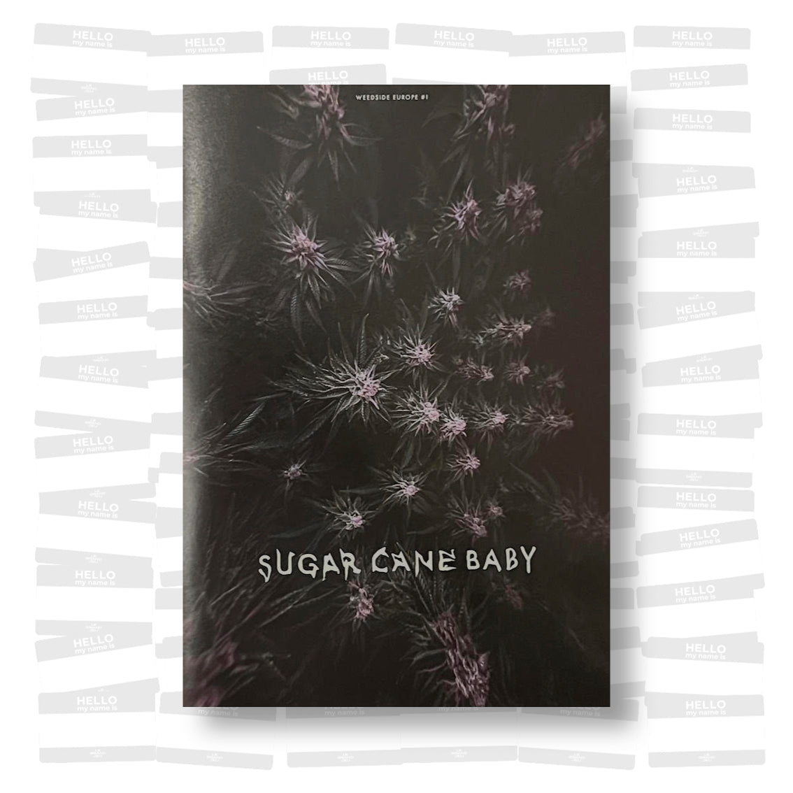 Sugar Cane Baby