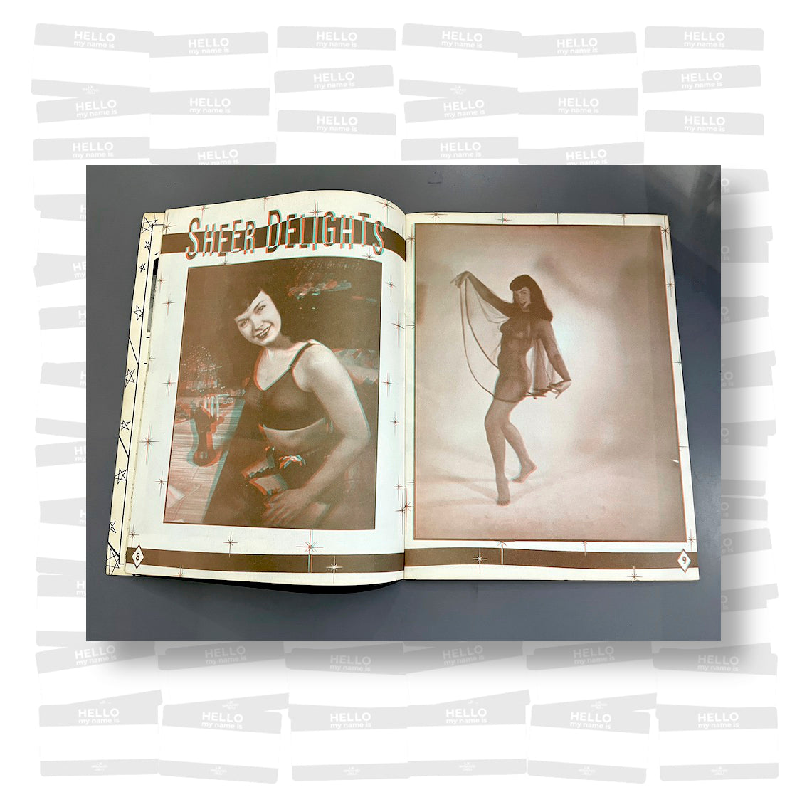 The Betty Page 3-D Picture Book