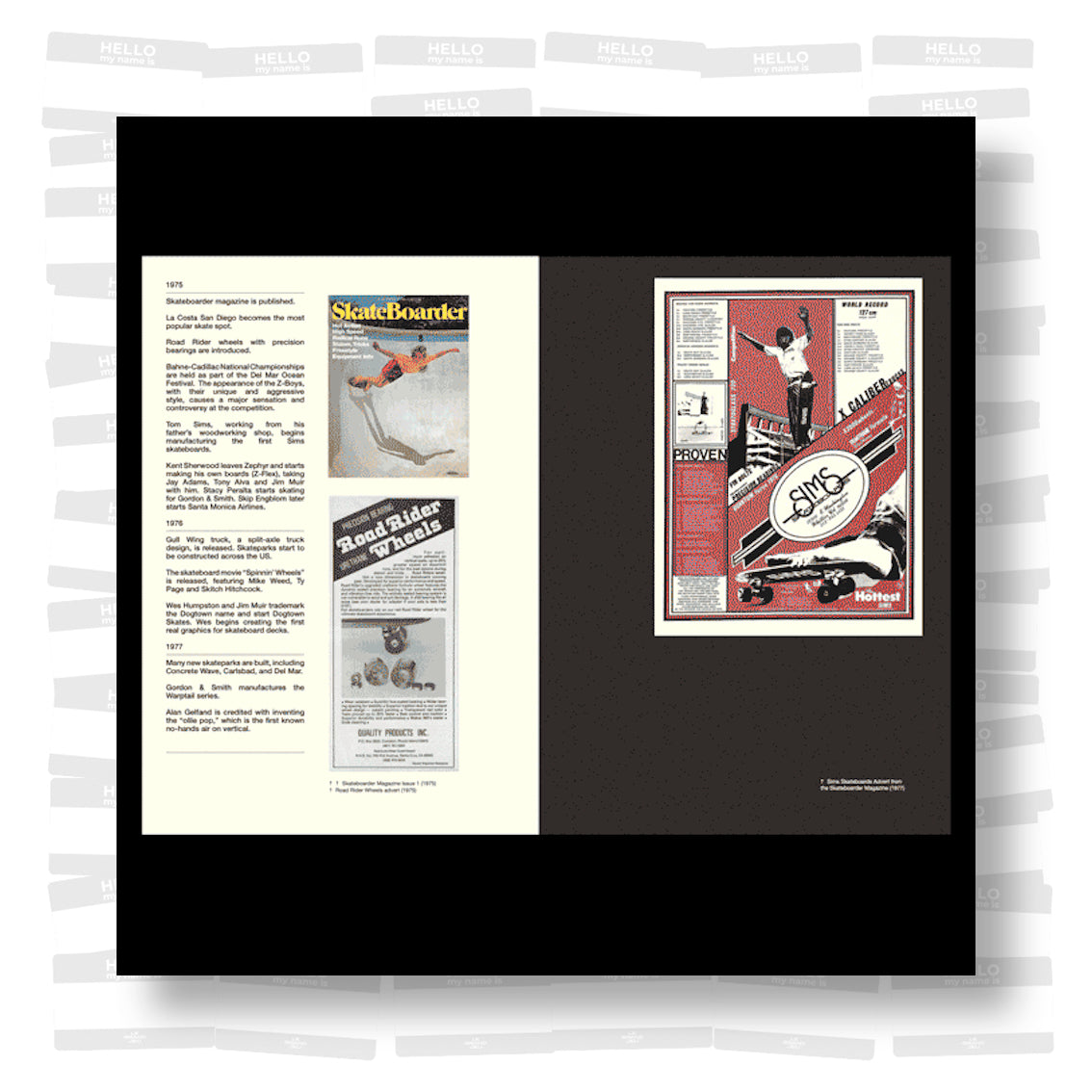 The Golden Age of Skateboarding