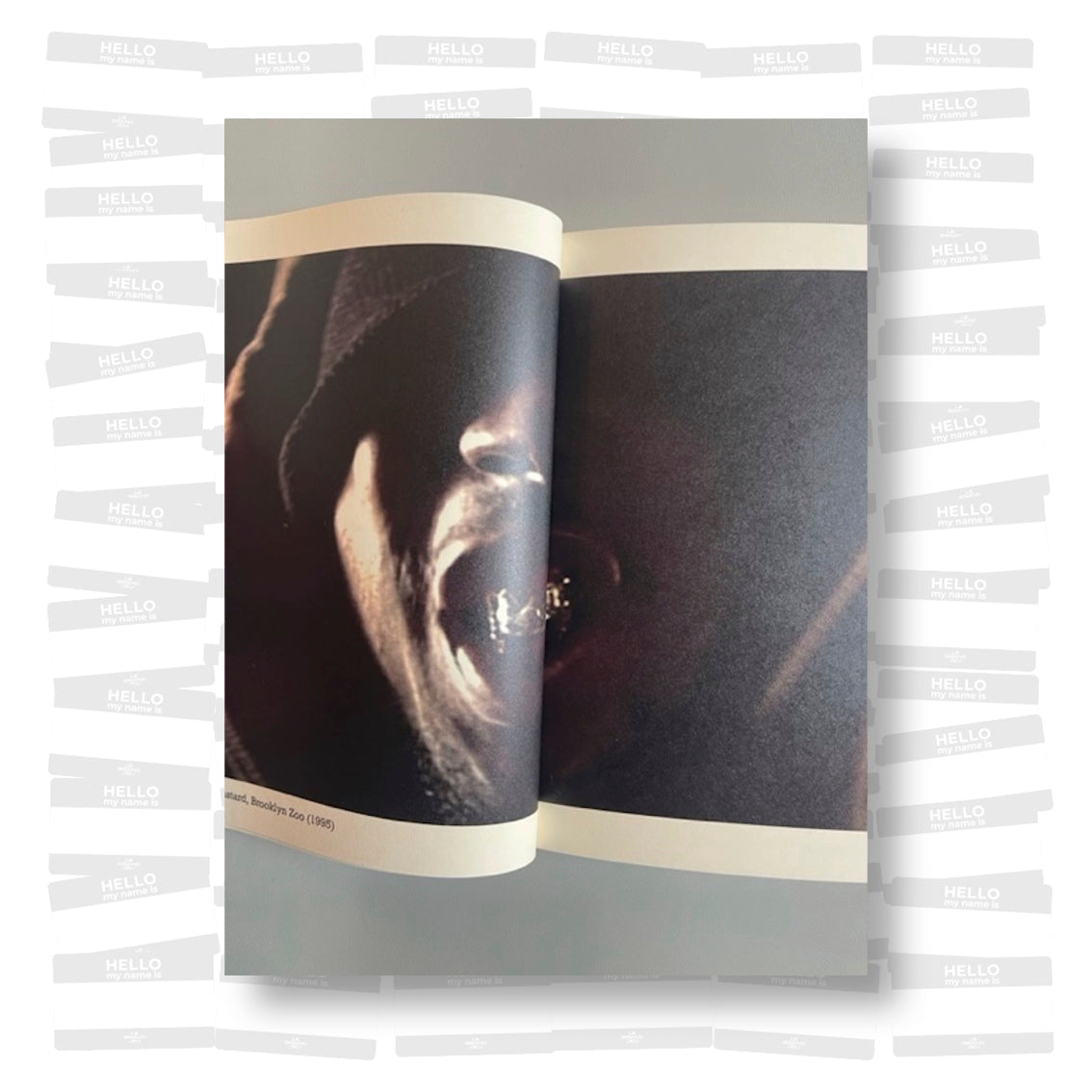 Some Wu-Tang Memories