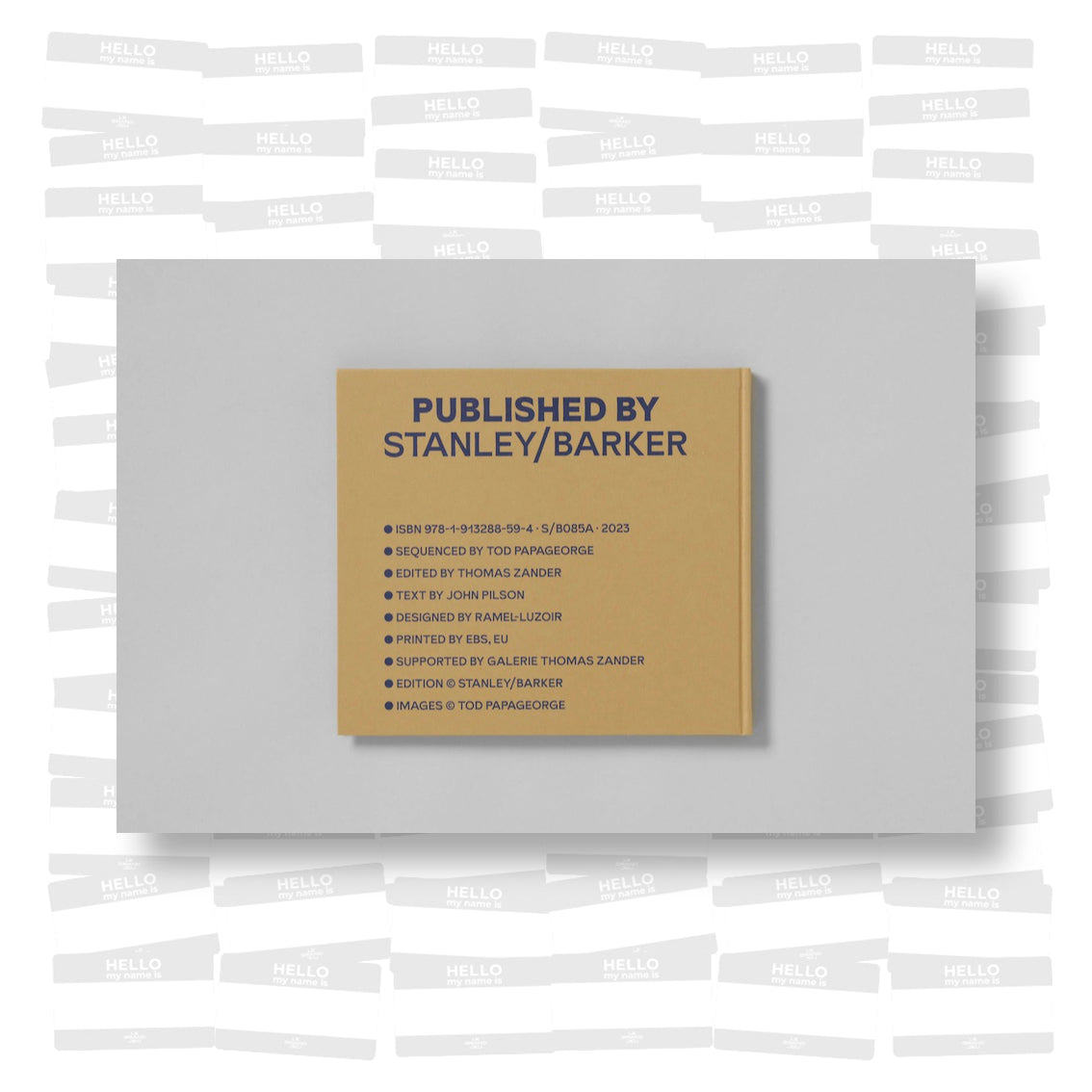 Tod Papageorge - At The Beach