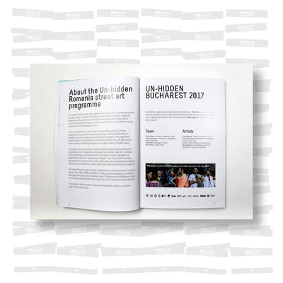 Un-hidden Street Art in Romania