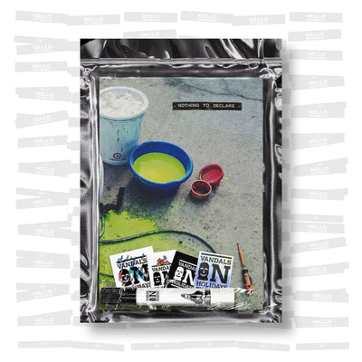 Vandals on Holidays - Nothing to Declare