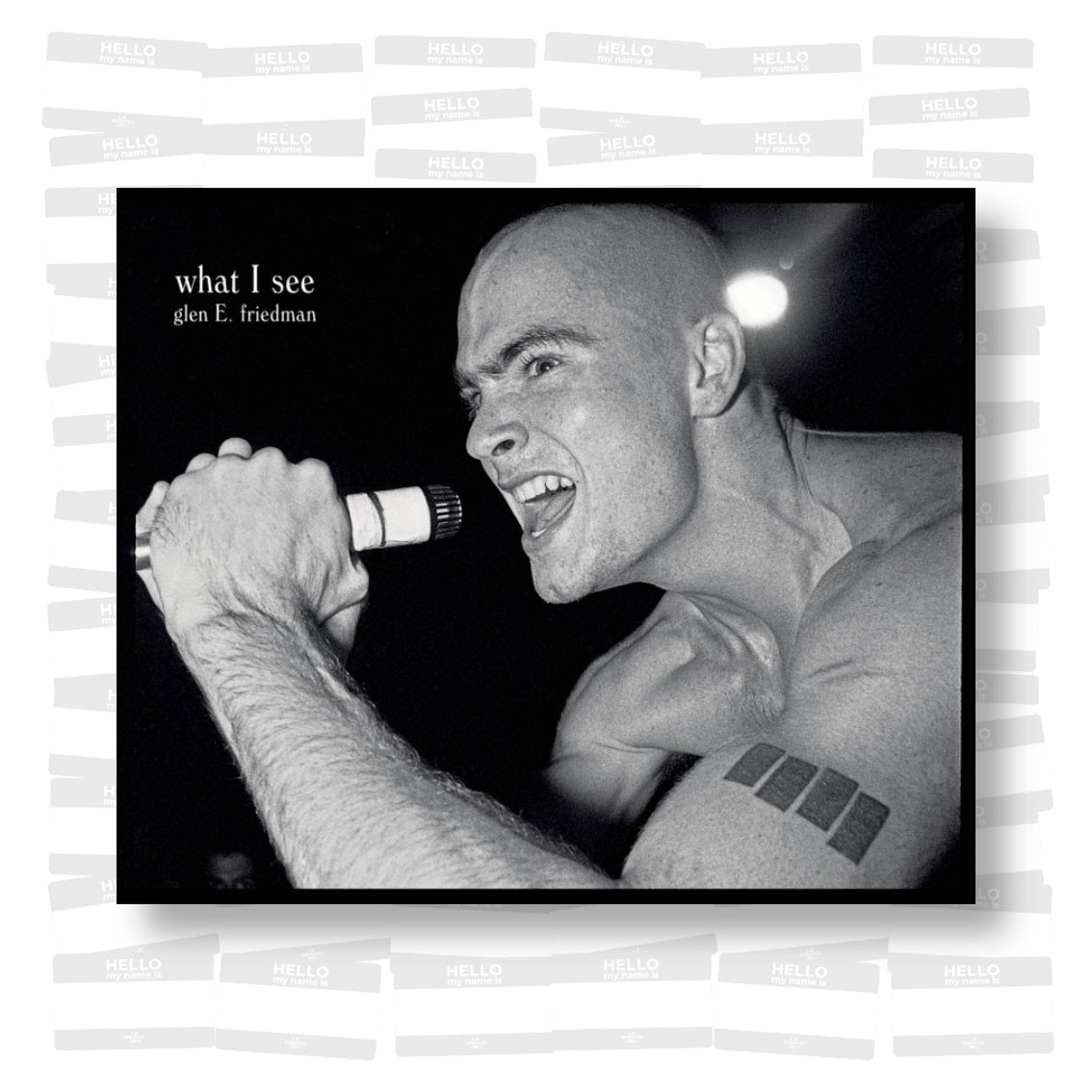 What I See: The Black Flag Photographs of Glen E. Friedman