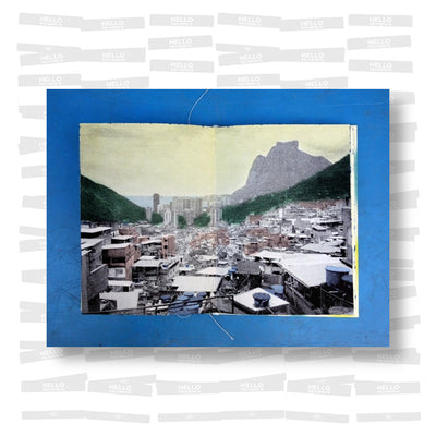 Wild C - Les Fleurs du Désordre