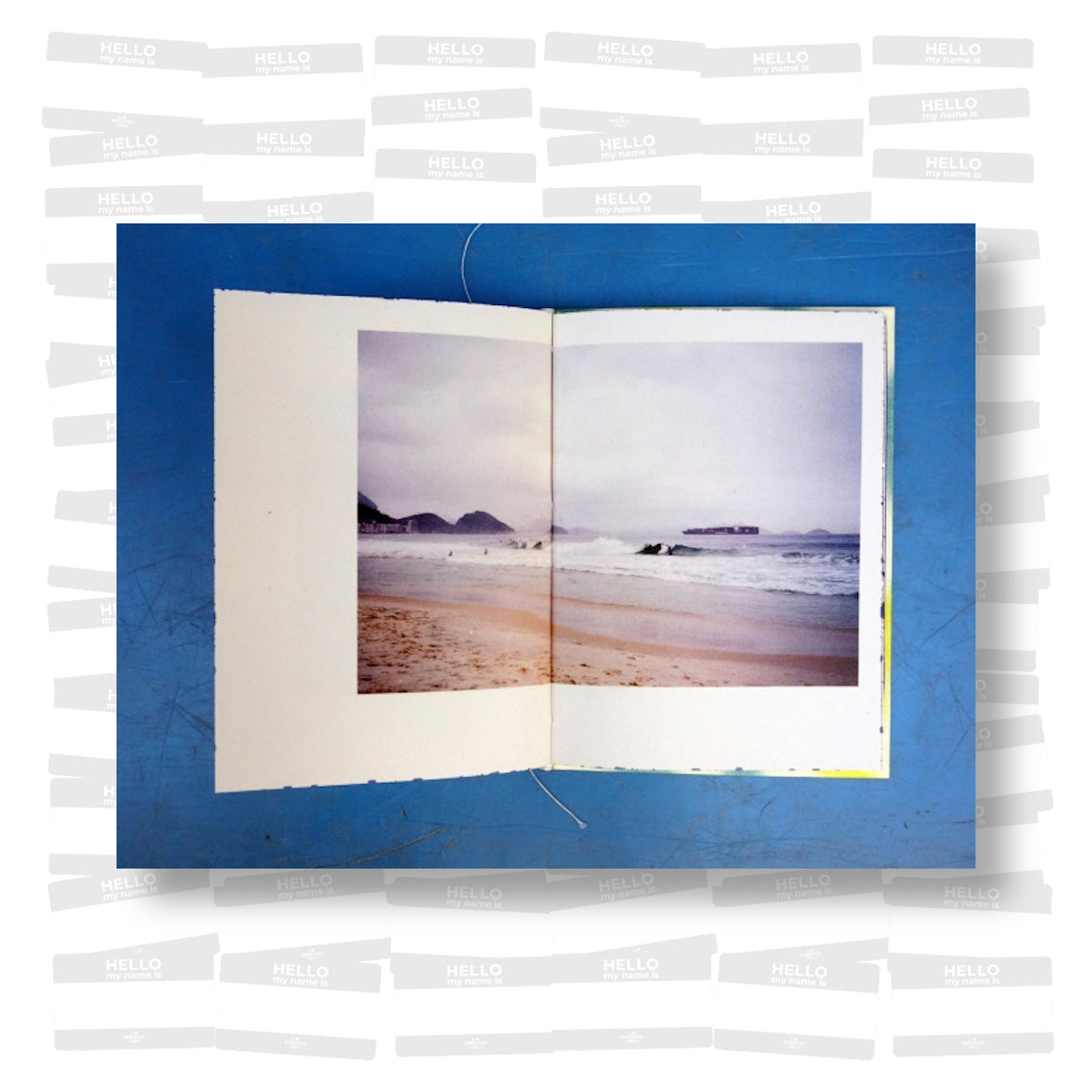 Wild C - Les Fleurs du Désordre