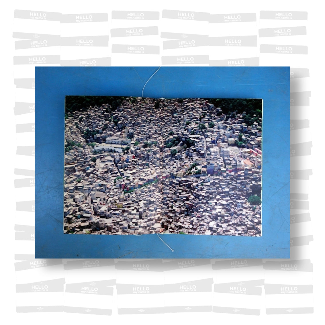 Wild C - Les Fleurs du Désordre