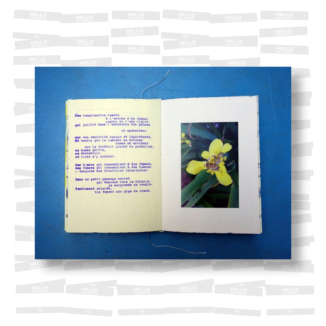 Wild C - Les Fleurs du Désordre