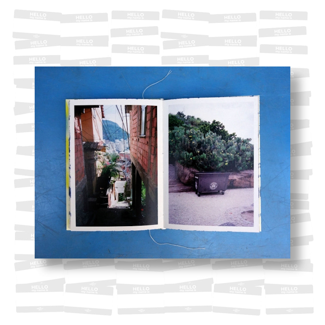 Wild C - Les Fleurs du Désordre