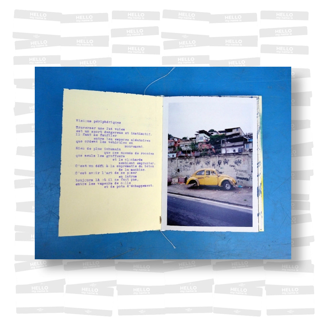 Wild C - Les Fleurs du Désordre