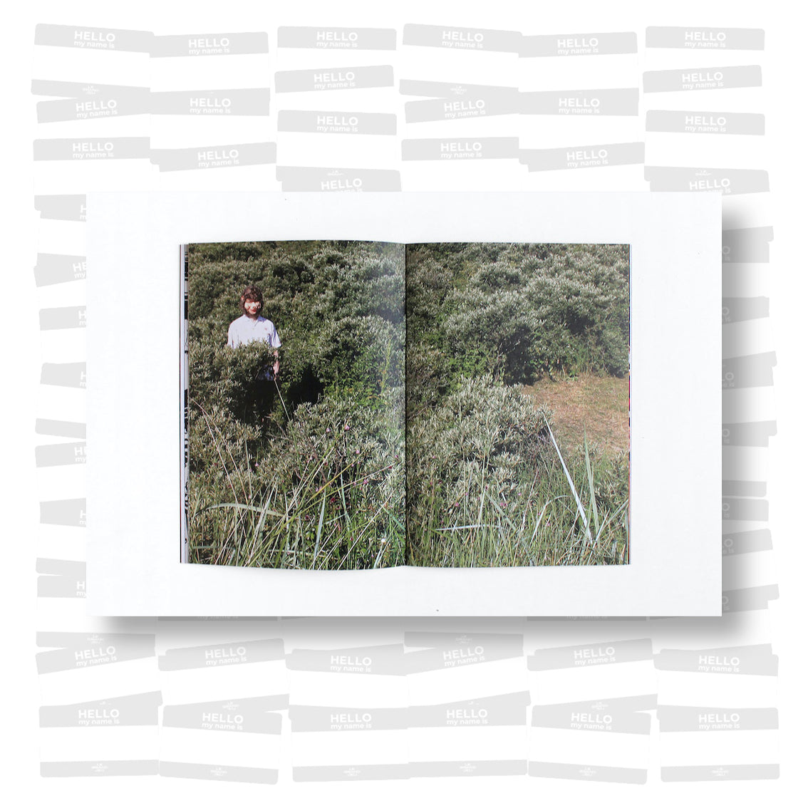 Willehad Eilers - The Horse Diaries 8. Hans Im Glück