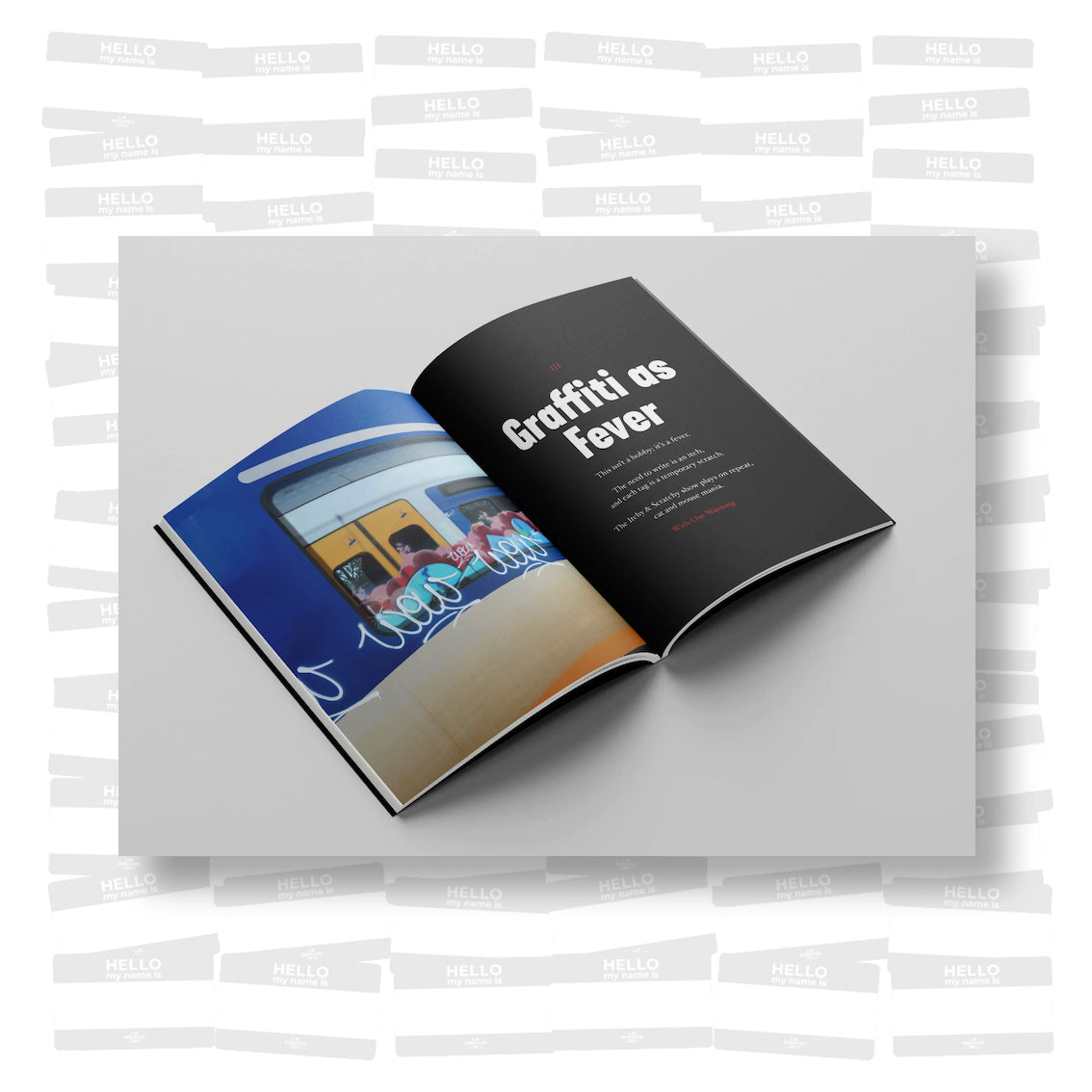 Writing Our World: Graffiti Manifesto