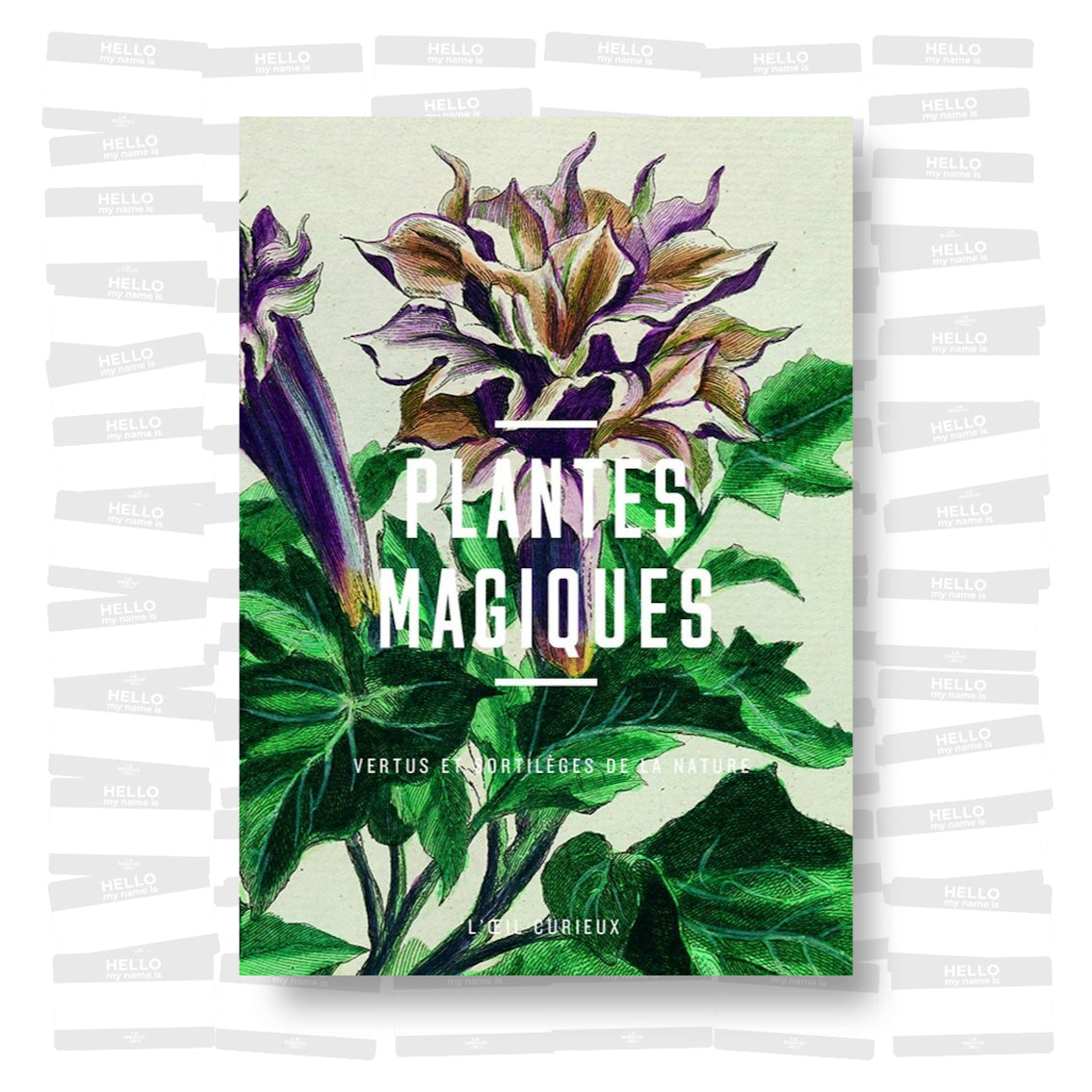 Plantes magiques: vertus et sortilèges de la nature