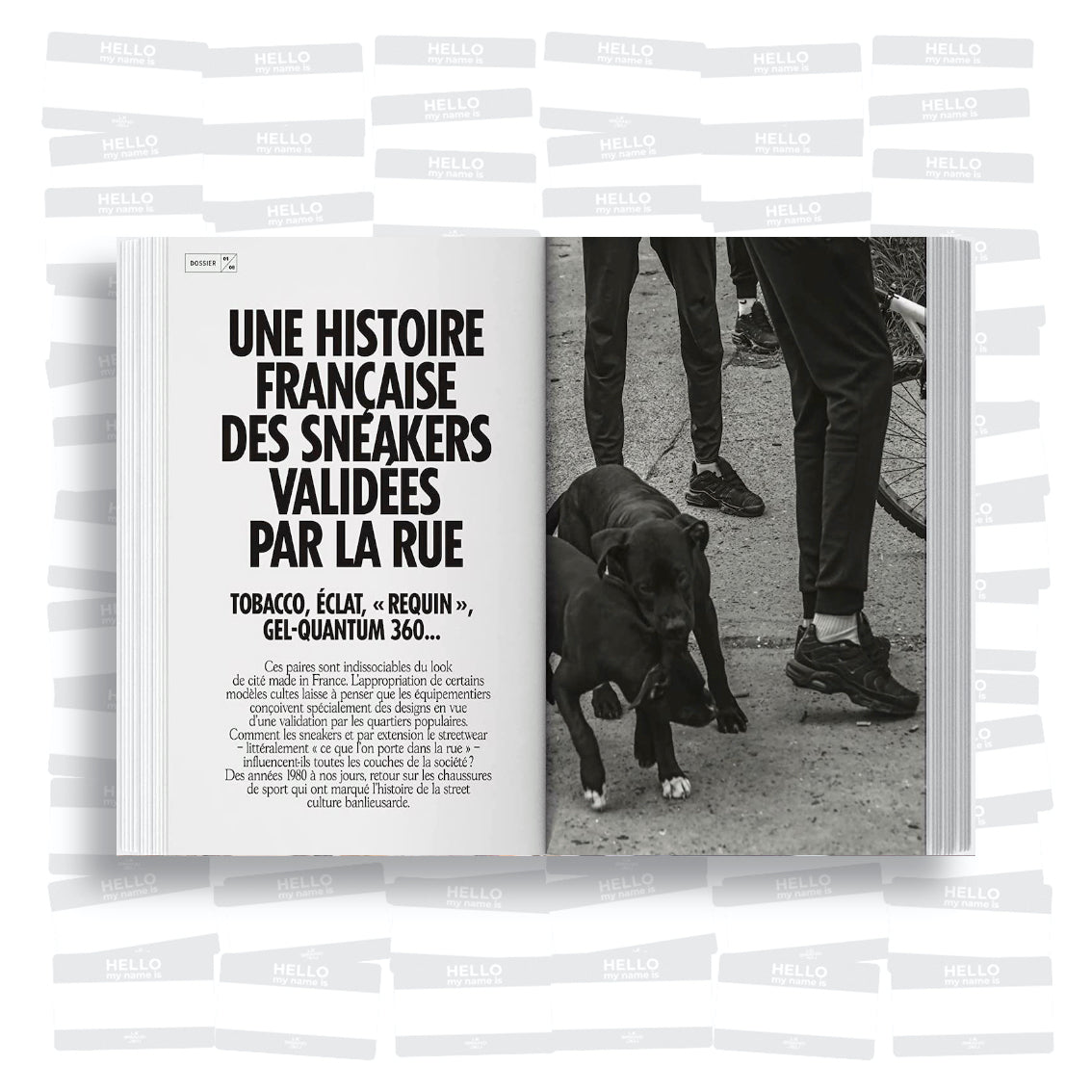 Larry Deadstock - 1000 sneakers deadstock: La collection idéale