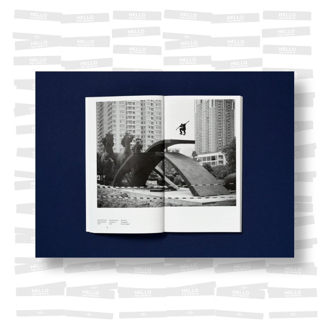 Raphaël Zarka - Riding Modern Art