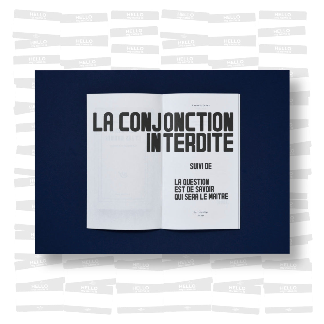 Raphaël Zarka - La Conjonction Interdite. Notes sur le Skateboard