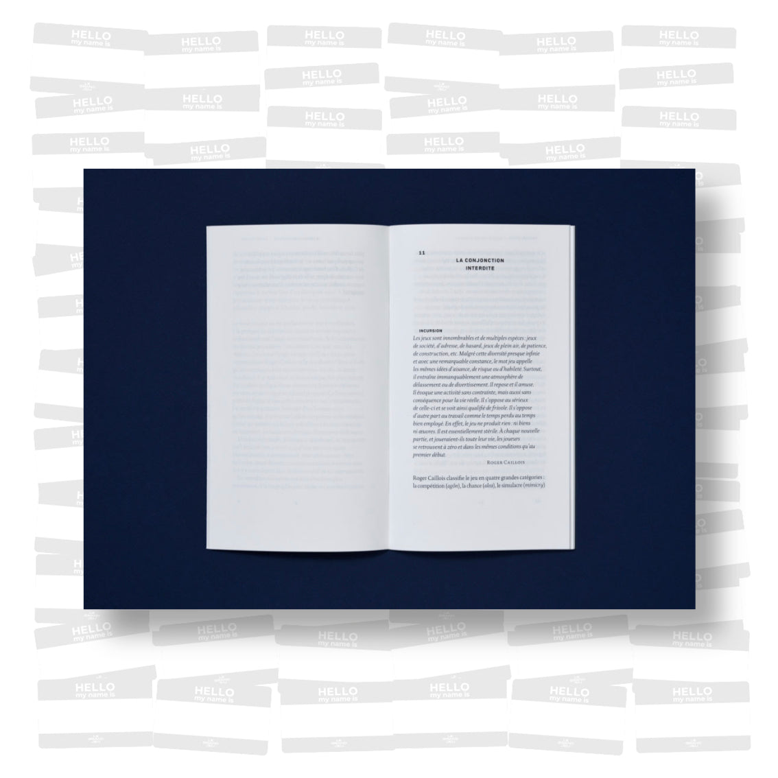 Raphaël Zarka - La Conjonction Interdite. Notes sur le Skateboard