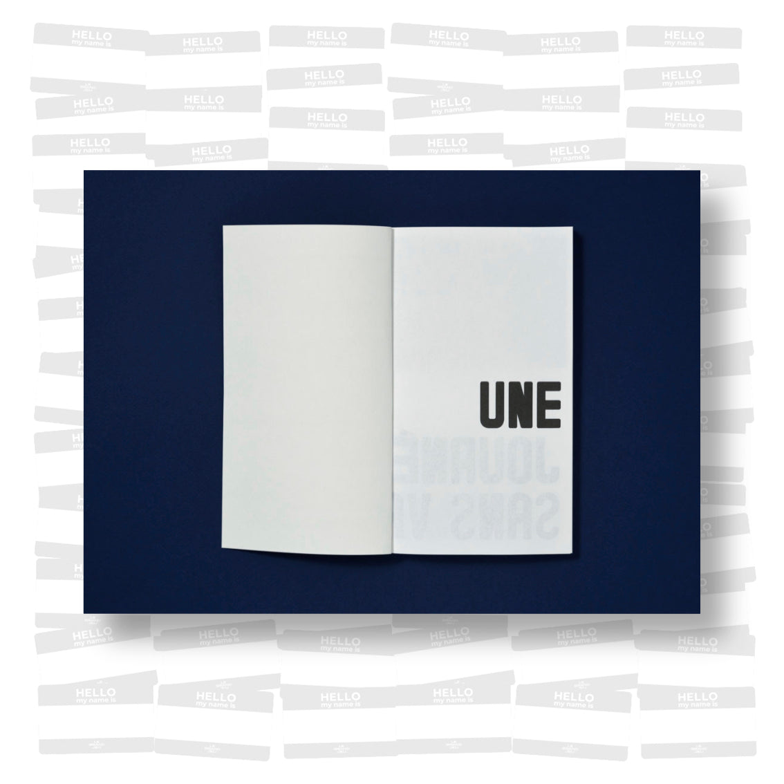 Raphaël Zarka - Chronologie Lacunaire du Skateboard