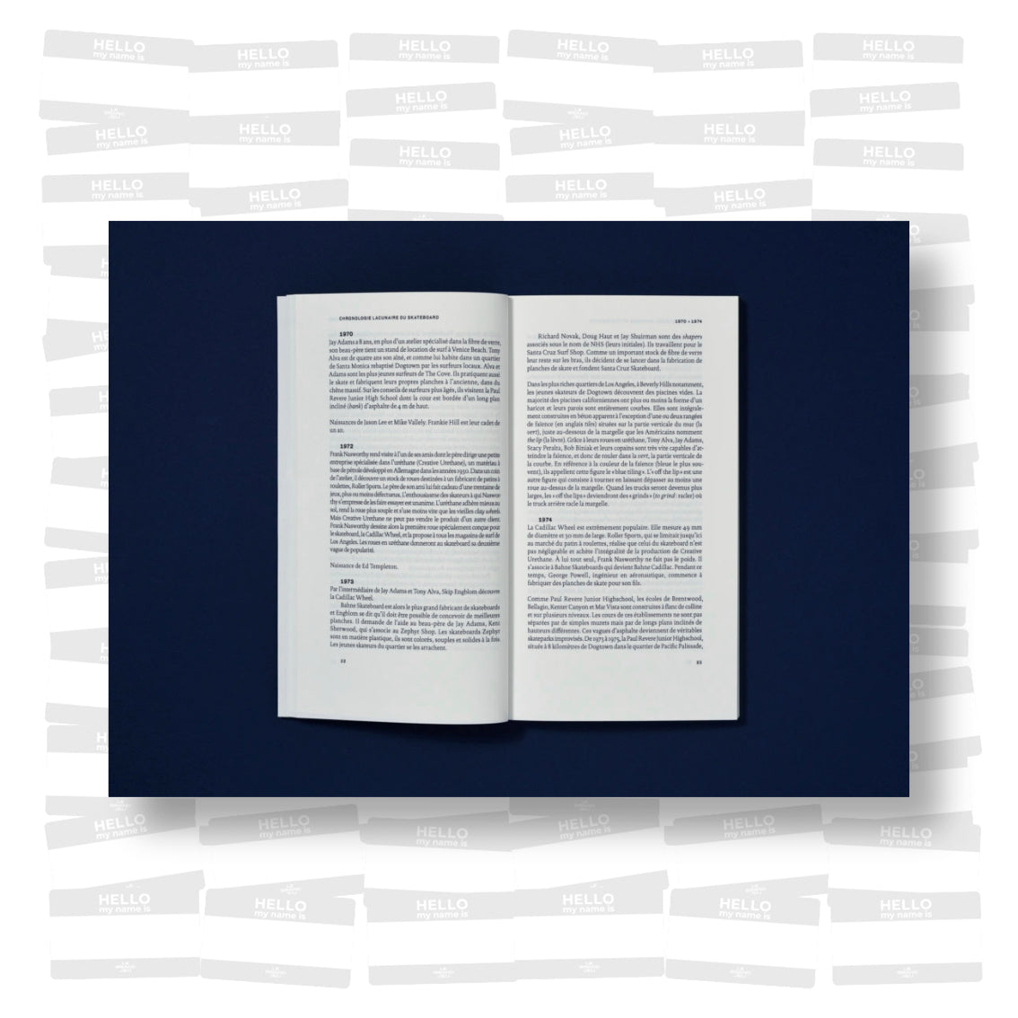 Raphaël Zarka - Chronologie Lacunaire du Skateboard