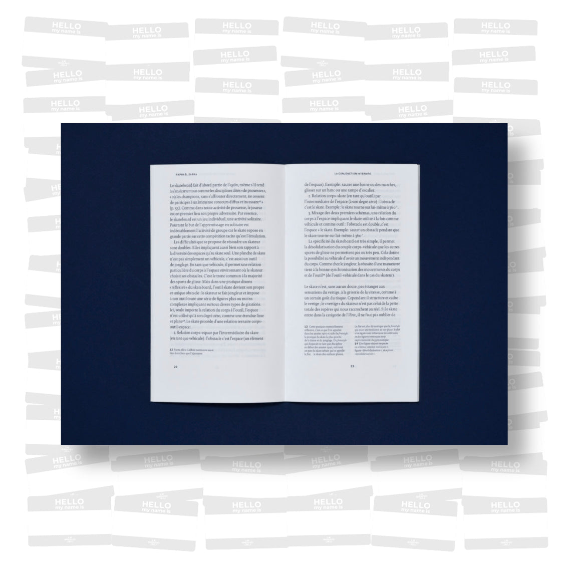 Raphaël Zarka - La Conjonction Interdite. Notes sur le Skateboard